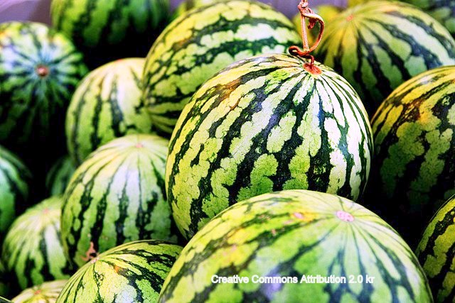 A group of watermelons
Description automatically generated with medium confidence