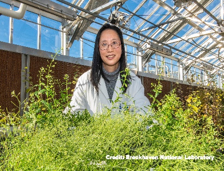 A person standing in a greenhouse
Description automatically generated with medium confidence