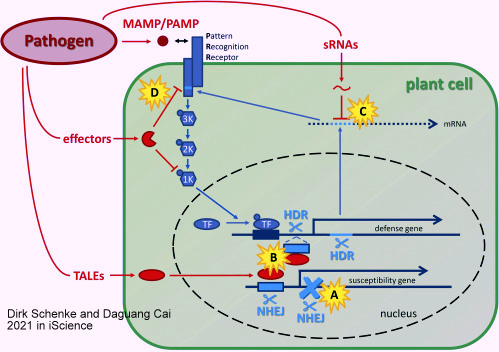 Diagram
Description automatically generated