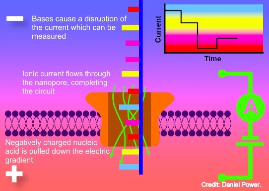 Diagram Description automatically generated