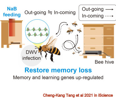 Diagram Description automatically generated