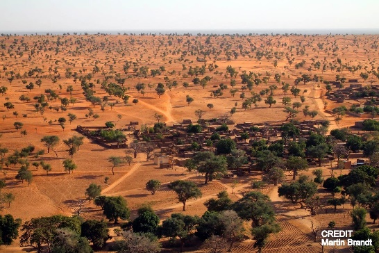 C:\Users\Admin\Pictures\For GRSV NL etc\ATN27\Dryland landscape in West Africa.jpg