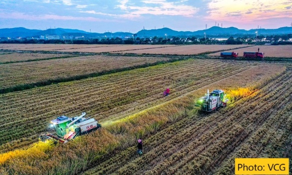 D:\GRSV Consultancy Service\AgriTech news\034_AgriTech\Two harvesters are busy collecting rice at dusk in Zhejiang Province.jpeg