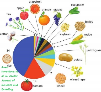 D:\GRSV Consultancy Service\AgriTech news\000_AgriTech References\Number of genes modified in crop plants using CRISPR-Cas9 technology.jfif