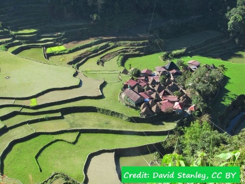 D:\GRSV Consultancy Service\AgriTech news\37_ATN\The rice terraces of the Cordillera in the Philippines are recognised by the UN as a ‘cultural landscape.jpg