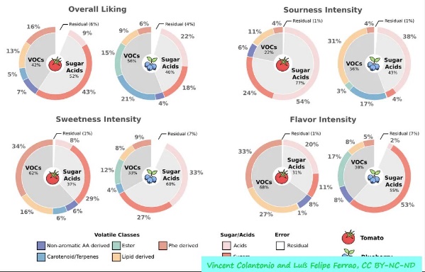 D:\GRSV Consultancy Service\AgriTech news\38_ATN\Volatile organic compounds are a big part of what consumer panels use to rate flavor in tomatoes and blueberries.jpg