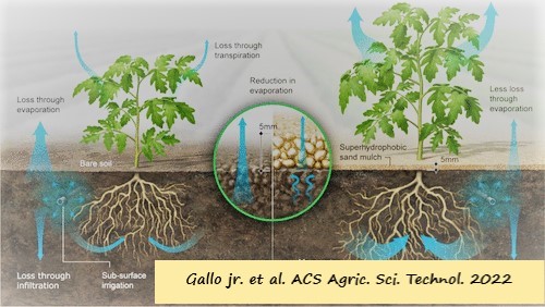 D:\GRSV Consultancy Service\AgriTech news\38_ATN\Waxcoated sand_Edited.jpg