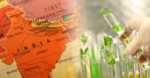 D:\GRSV Consultancy Service\AgriTech news\39_ATN\Map-of-India-and-gene-edited-plants-in-test-tubes-1200px.jpg