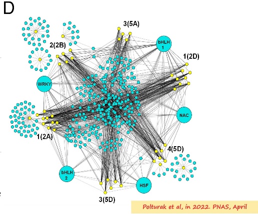 Diagram Description automatically generated