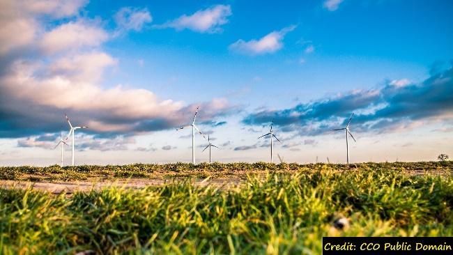 A field of grass with wind turbines in the distance Description automatically generated with low confidence