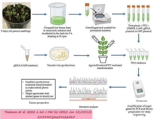 Diagram Description automatically generated