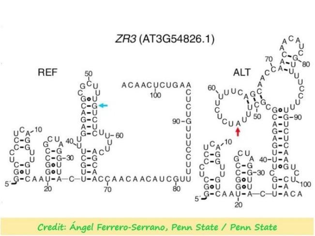 Diagram, schematic Description automatically generated