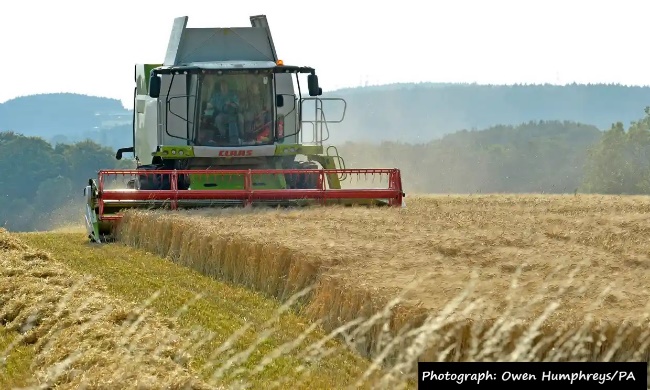 A tractor in a field Description automatically generated with low confidence