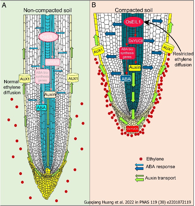 Diagram Description automatically generated