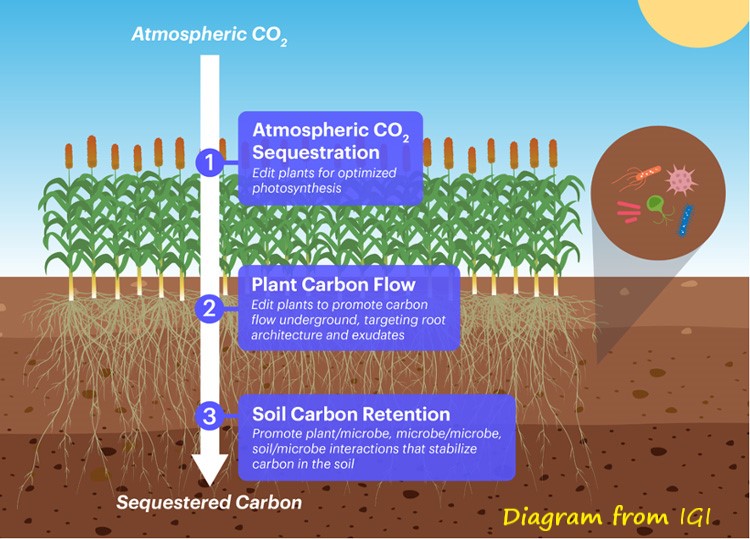 Diagram Description automatically generated