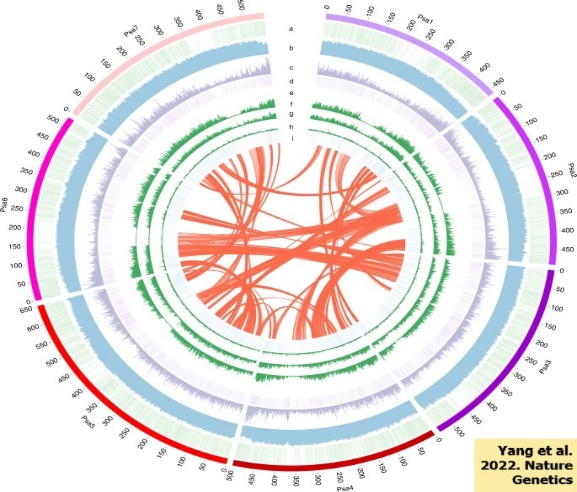 Chart, radar chart Description automatically generated