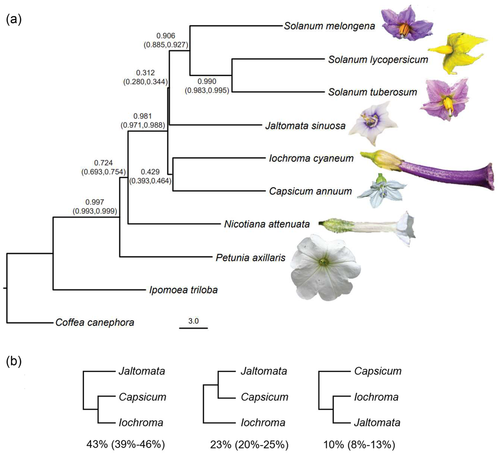 Diagram Description automatically generated