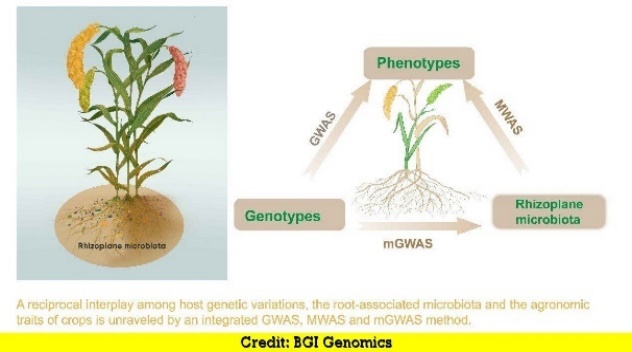 Diagram Description automatically generated