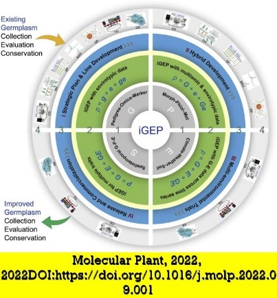 A picture containing chart Description automatically generated