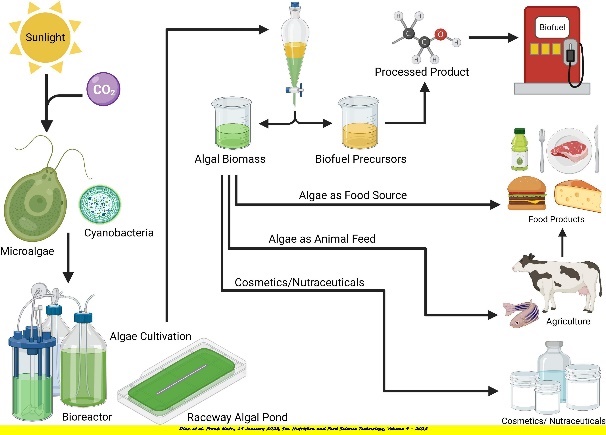 Diagram Description automatically generated