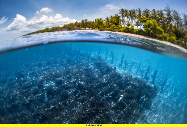 A body of water with trees around it Description automatically generated with medium confidence