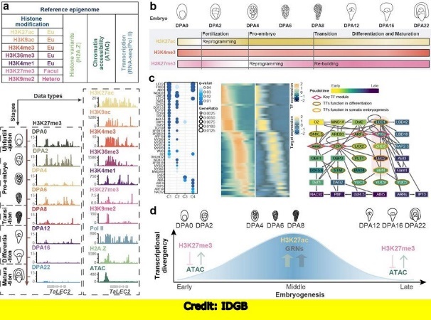 Diagram, timeline Description automatically generated